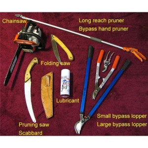 Pruning tools for roses